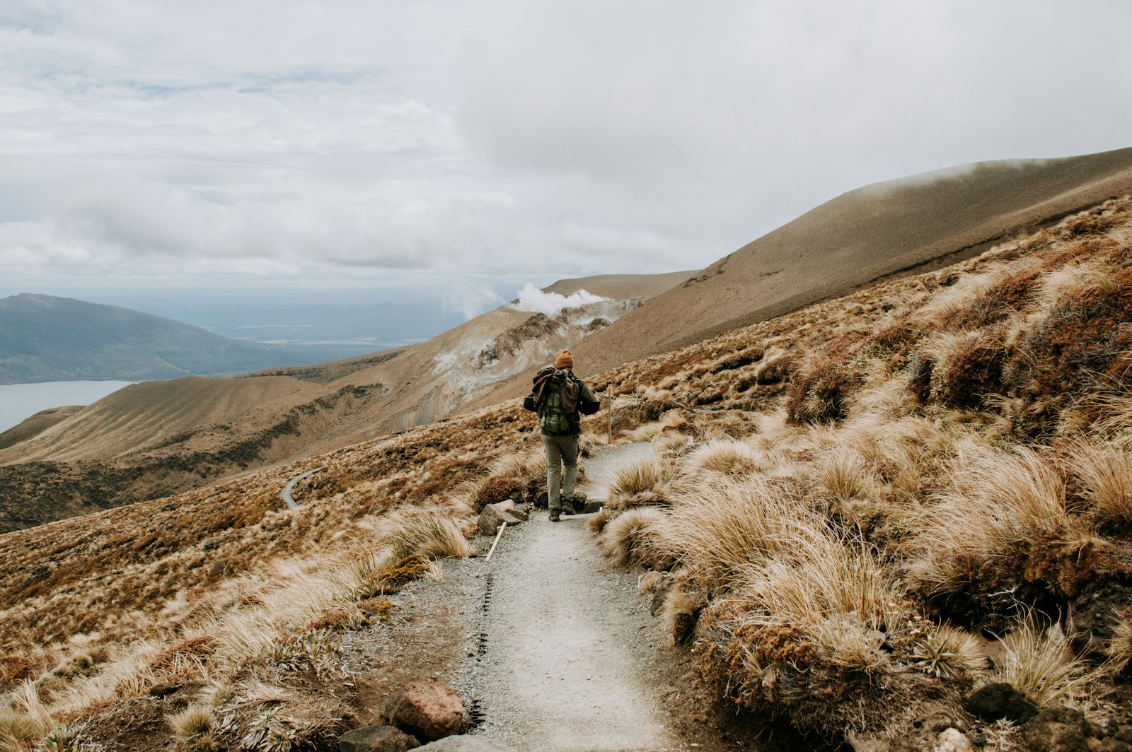 New Zealand / Aotearoa