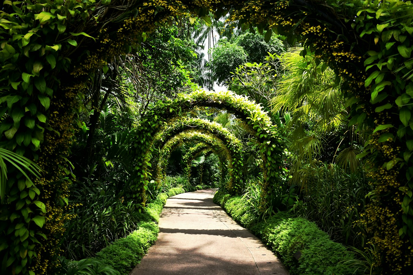 Singapore — ảnh hiện nay / contemporary photograph
