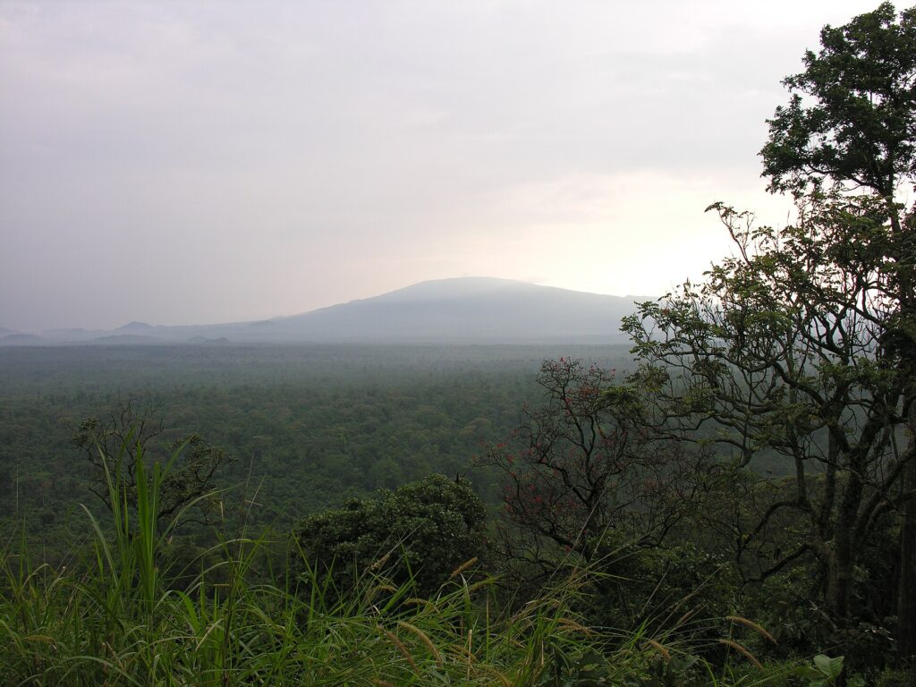 Lịch sử Cộng hòa Dân chủ Congo | History of Democratic Republic of the Congo