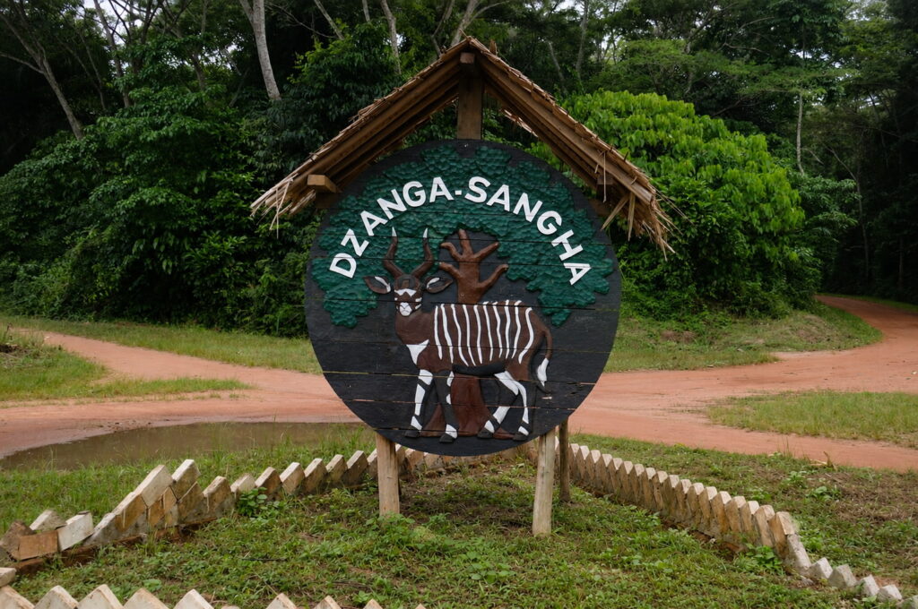 Lịch sử Cộng hòa Trung Phi | History of Central African Republic