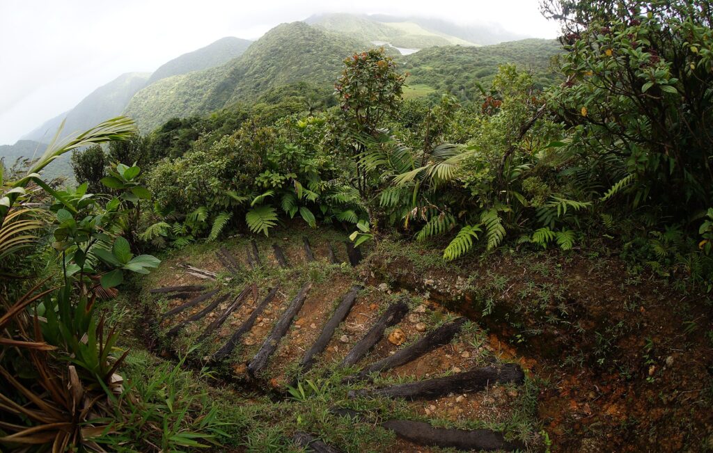 Lịch sử Dominica | History of Dominica