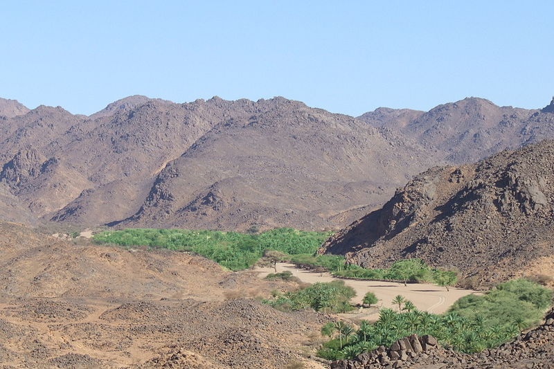 Lịch sử Niger | History of Niger
