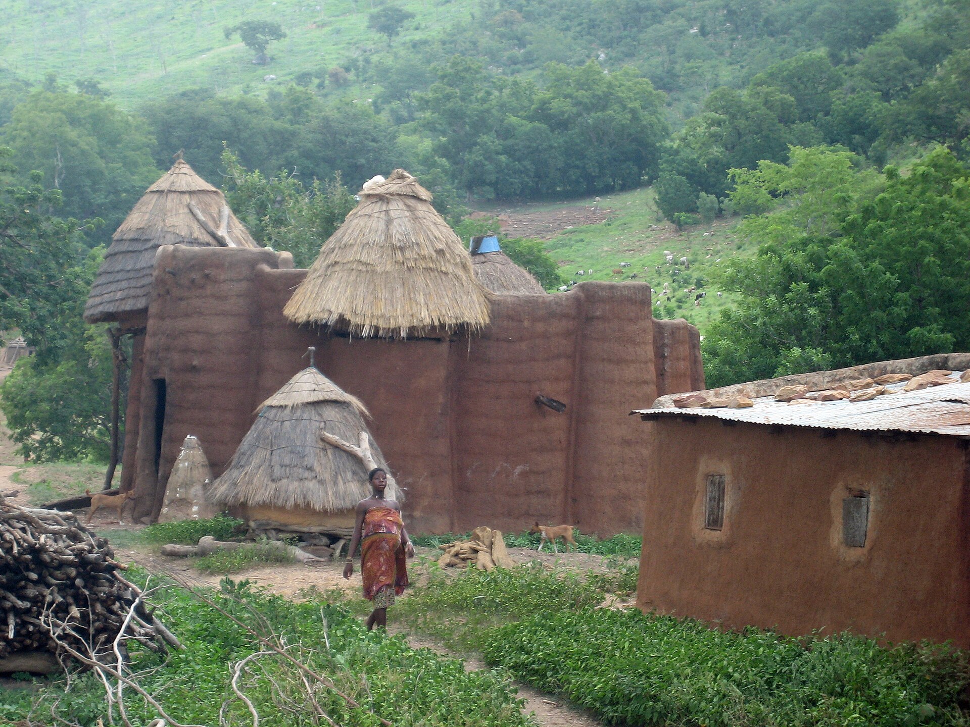 Lịch sử Togo | History of Togo